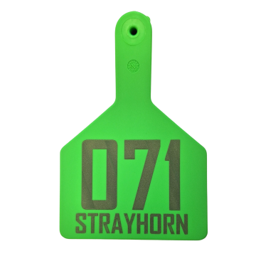 Custom Sagebrush 1-Piece Tag