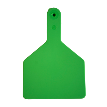 Sagebrush 1-Piece Tag - Pack of 25-Cow-Green