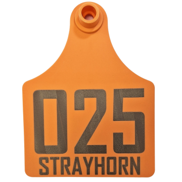 Custom Sagebrush 2-Piece Tag - Pack of 25-Cow-Orange