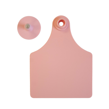 Sagebrush 2-Piece Tag - Pack of 25-Cow-Pink