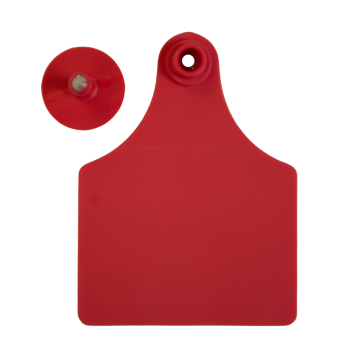 Sagebrush 2-Piece Tag - Pack of 25-Cow-Red