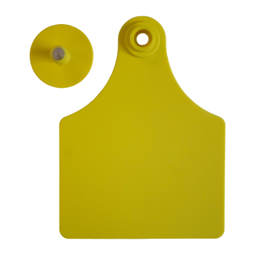 Sagebrush 2-Piece Tag - Pack of 25-Cow-Yellow
