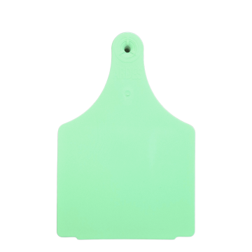 Strayhorn 1-Piece Ear Tags, Blank-Cow-Mint Green-Pack Of 10