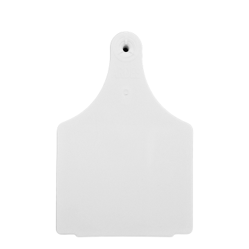 Strayhorn 1-Piece Ear Tags, Blank-Cow-White-Pack Of 10