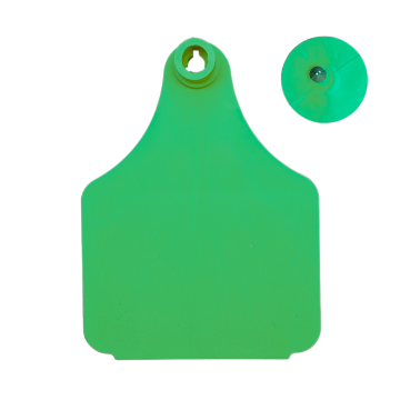 Strayhorn 2-Piece Ear Tags, Blank-Cow-Green-Pack Of 10