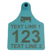 Numbers & 1 line of text