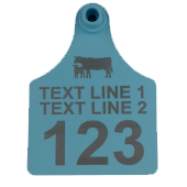 Numbers & 2 lines of text